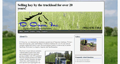 Desktop Screenshot of doweninc.com